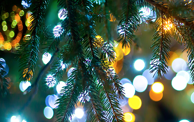 Christmas lights on a tree