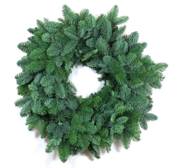 Plain Fresh Christmas Wreath