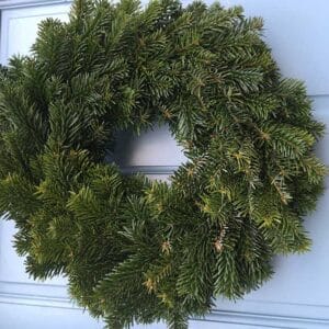 Plain Fresh Christmas Wreath