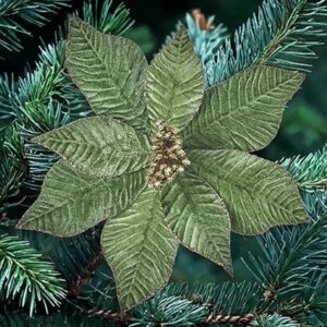 Sage Velvet Poinsettia