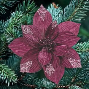 Plum Velvet Poinsettia